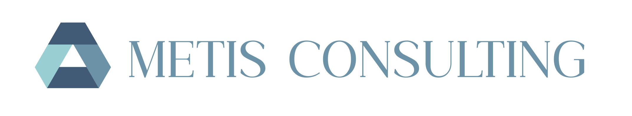 Metis Consulting marketing ügynökség logója